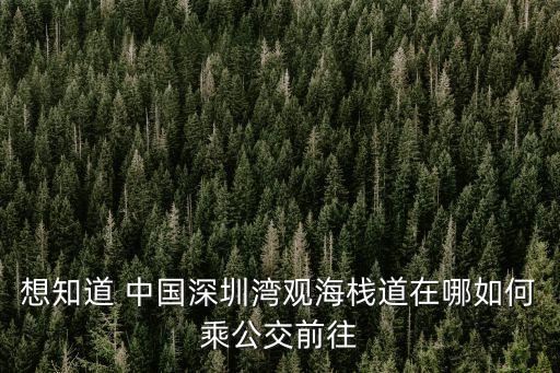 深圳灣公園棧道，想知道 中國深圳灣觀海棧道在哪如何乘公交前往