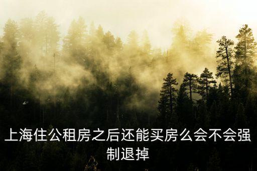 上海住公租房之后還能買房么會不會強制退掉