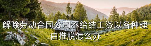 解除勞動合同公司不給結工資以各種理由推脫怎么辦