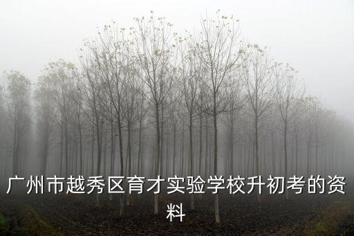 廣州市越秀區育才實驗學校升初考的資料