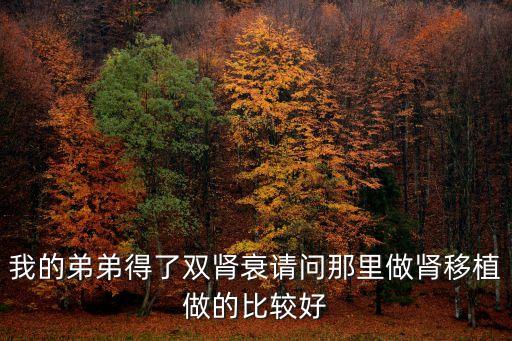 我的弟弟得了雙腎衰請問那里做腎移植做的比較好