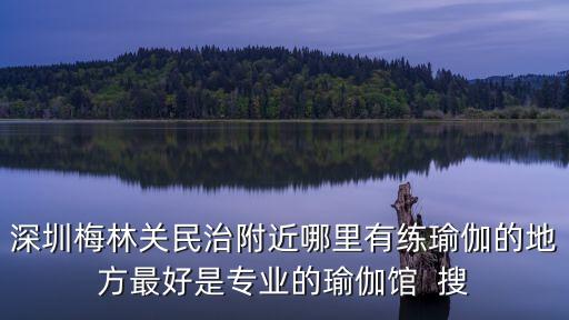 深圳舞蹈 瑜伽 培訓，深圳梅林關民治附近哪里有練瑜伽的地方最好是專業的瑜伽館  搜