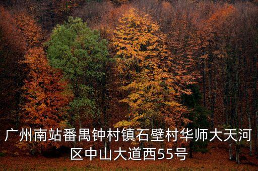 廣州華師大到鐘村，從廣州番禺鐘村到廣州大學怎么走
