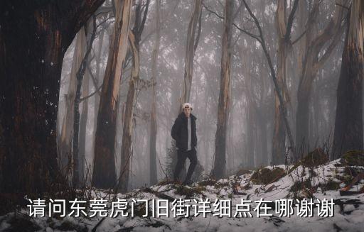 請問東莞虎門舊街詳細點在哪謝謝