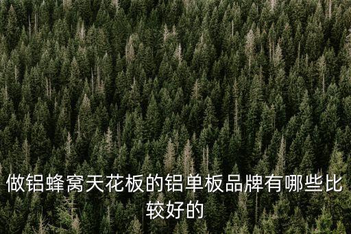 做鋁蜂窩天花板的鋁單板品牌有哪些比較好的