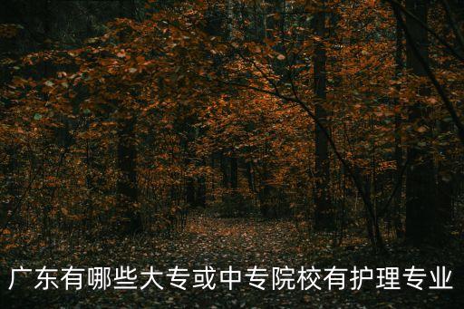 廣東有哪些大專或中專院校有護理專業