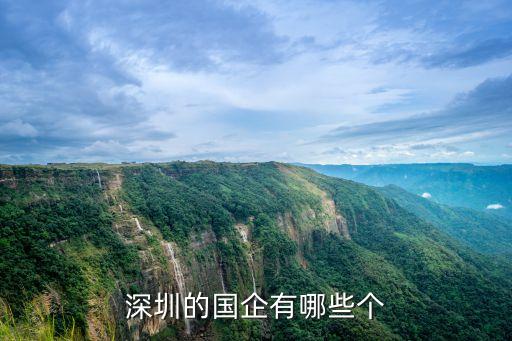 深圳弘達交通有限責任公司，深圳的國企有哪些個