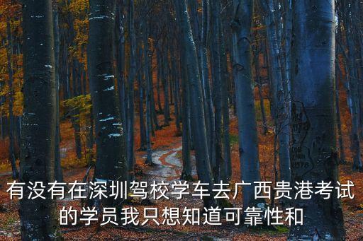 有沒有在深圳駕校學車去廣西貴港考試的學員我只想知道可靠性和