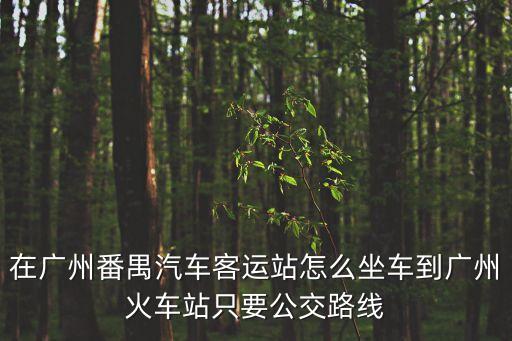 廣州番禺車輛起火，廣州番禺交通事故責(zé)任認(rèn)定書不下達(dá)尸體 是否火化
