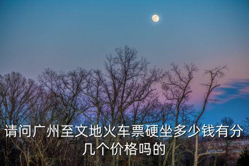 請問廣州至文地火車票硬坐多少錢有分幾個價格嗎的