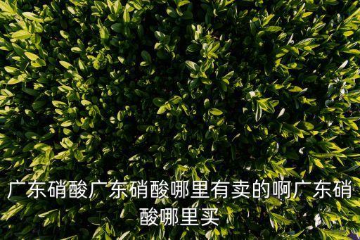 廣東硝酸廣東硝酸哪里有賣的啊廣東硝酸哪里買