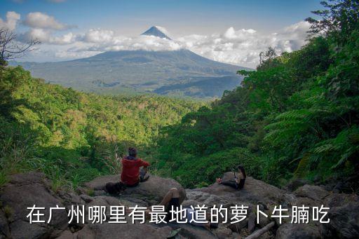 在廣州哪里有最地道的蘿卜牛腩吃