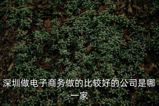 深圳做電子商務做的比較好的公司是哪一家