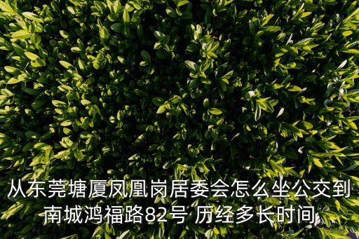 新塘到東莞南城鴻福路，新塘怎么坐車去東莞南城