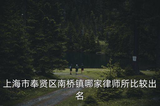 上海市奉賢區南橋鎮哪家律師所比較出名