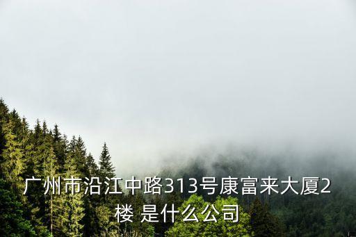 廣州市沿江中路313號康富來大廈2樓 是什么公司
