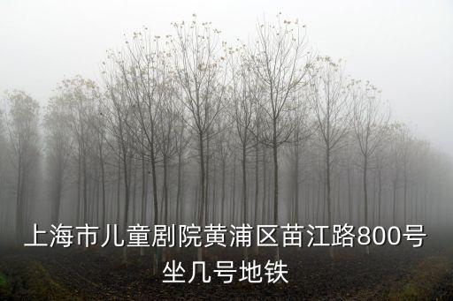 上海市兒童劇院黃浦區苗江路800號坐幾號地鐵