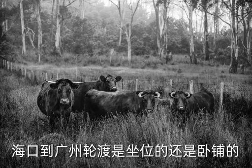 海口到廣州輪渡是坐位的還是臥鋪的