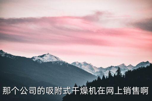 那個(gè)公司的吸附式干燥機(jī)在網(wǎng)上銷售啊