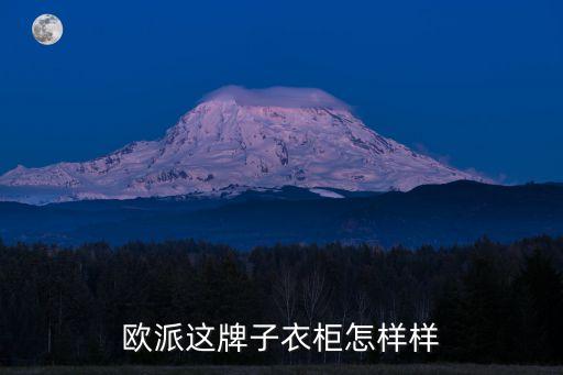 歐派這牌子衣柜怎樣樣