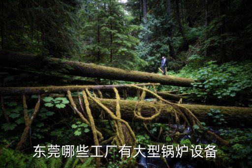 東莞哪些工廠有大型鍋爐設(shè)備