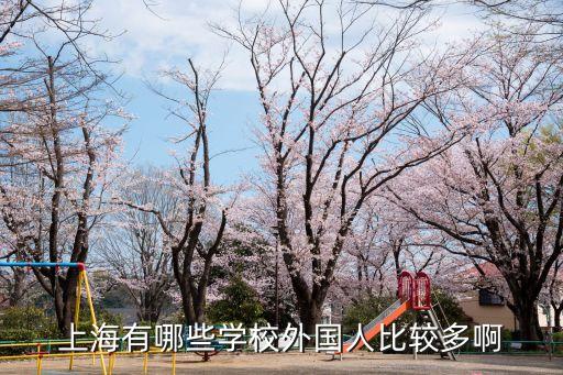 上海市外籍人員校，上海有哪些學校外國人比較多啊
