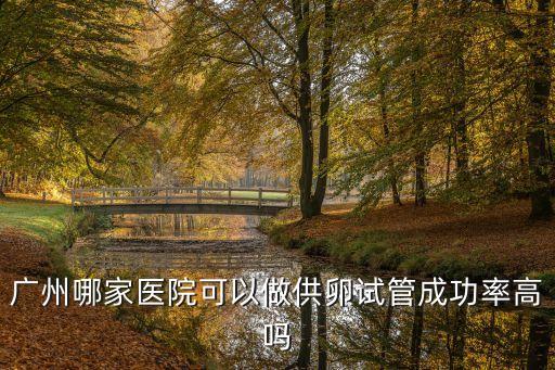 廣州哪家醫院可以做供卵試管成功率高嗎