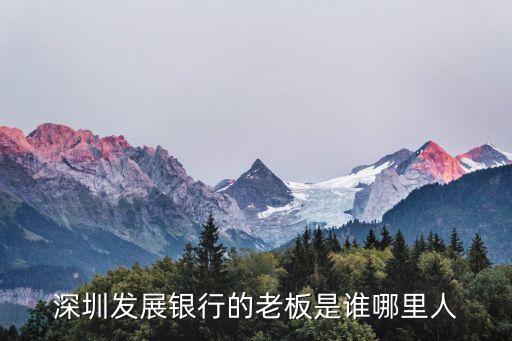 劉吉偉 深圳，深圳聯通總經理是誰