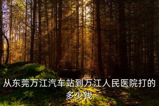 從東莞萬江汽車站到萬江人民醫院打的多少錢