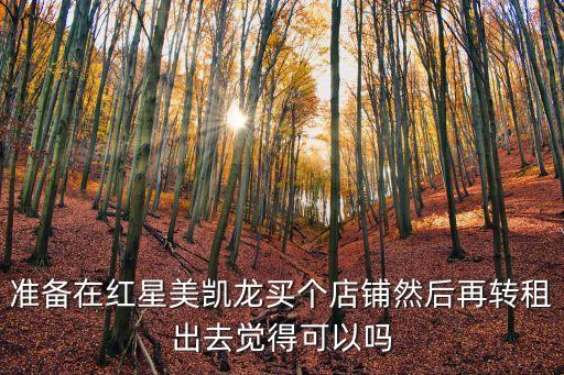 準備在紅星美凱龍買個店鋪然后再轉租出去覺得可以嗎