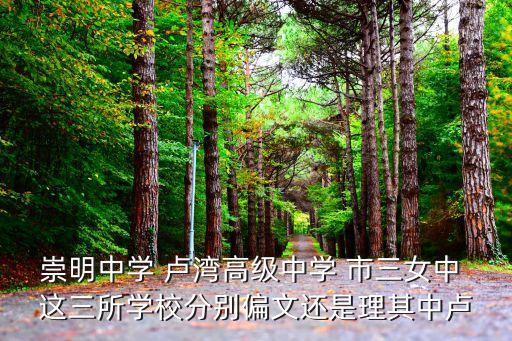 崇明中學 盧灣高級中學 市三女中 這三所學校分別偏文還是理其中盧
