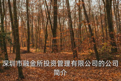融金所深圳分公司，深圳P2P公司理財(cái)公司哪家好
