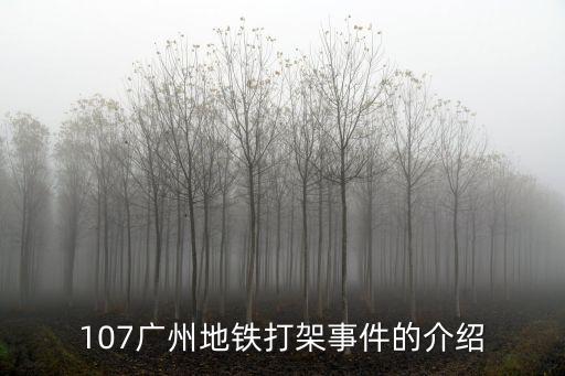 107廣州地鐵打架事件的介紹