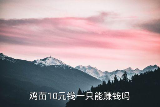 雞苗10元錢一只能賺錢嗎