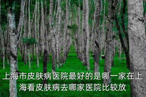 上海市皮膚病醫院最好的是哪一家在上海看皮膚病去哪家醫院比較放