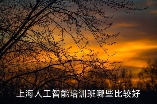上海市人工智能行業講座，上海人工智能培訓班哪些比較好