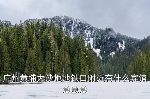 廣州黃埔大沙地地鐵口附近有什么賓館急急急