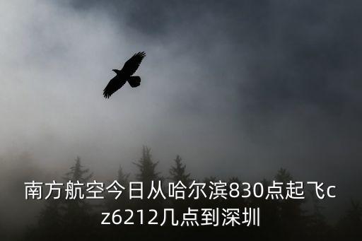 南航國際中轉深圳，南方航空今日從哈爾濱830點起飛cz6212幾點到深圳