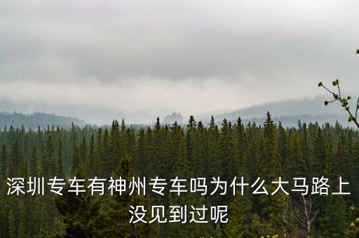 深圳專車有神州專車嗎為什么大馬路上沒見到過呢
