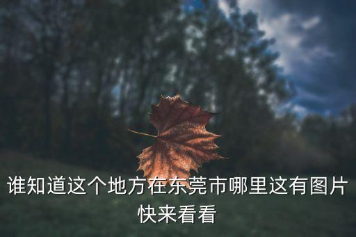 誰知道這個地方在東莞市哪里這有圖片快來看看