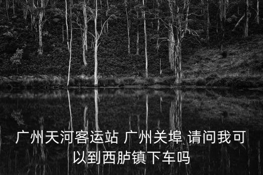 廣州天河客運站 廣州關埠 請問我可以到西臚鎮下車嗎