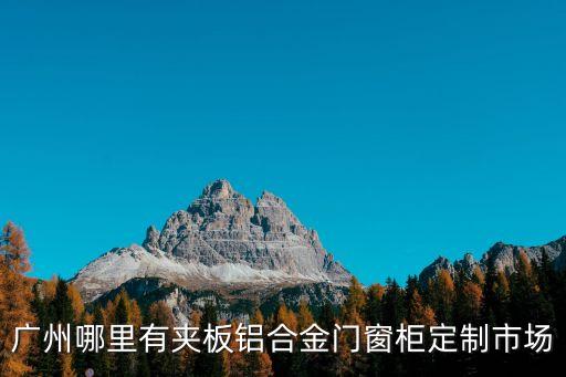 廣州東方鋁材，廣州哪里有夾板鋁合金門窗柜定制市場