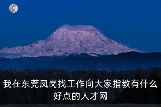 我在東莞鳳崗找工作向大家指教有什么好點的人才網(wǎng)