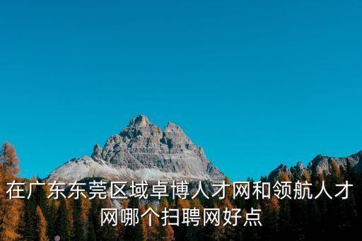 在廣東東莞區(qū)域卓博人才網和領航人才網哪個掃聘網好點