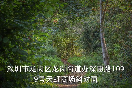 深圳中洲購物中心電話，深圳市龍崗區龍崗街道辦深惠路1099號天虹商場斜對面