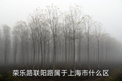 榮樂路聯陽路屬于上海市什么區