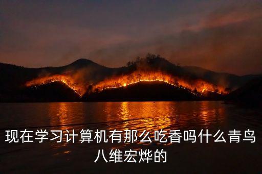 上海市八維宏燁，八維宏燁是專門做計算機培訓的嗎