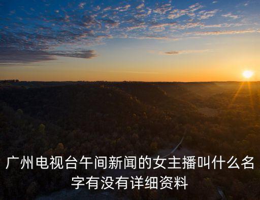 廣州電視臺午間新聞的女主播叫什么名字有沒有詳細資料