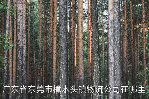 廣東省東莞市樟木頭鎮物流公司在哪里
