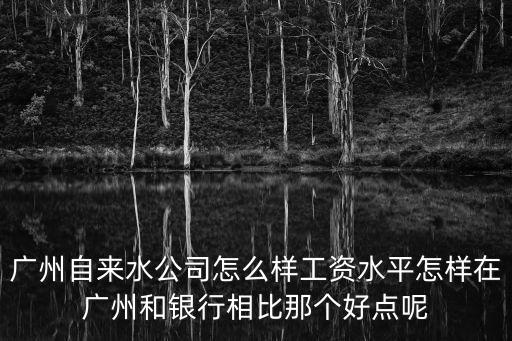 廣州自來水公司怎么樣工資水平怎樣在廣州和銀行相比那個好點呢